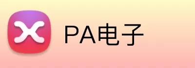 PA电子 Logo